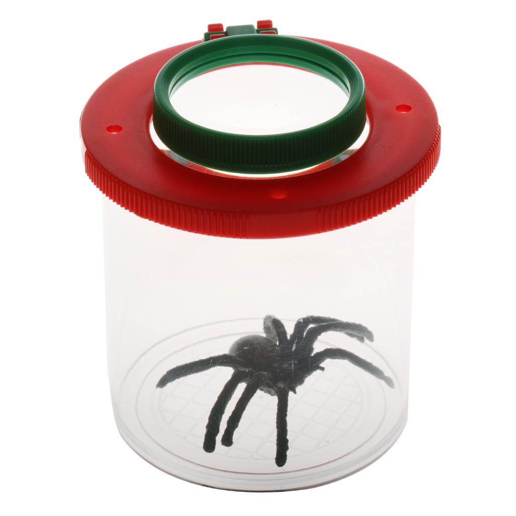 Kit de observación con lupa de - Science Nursery reseña y precio