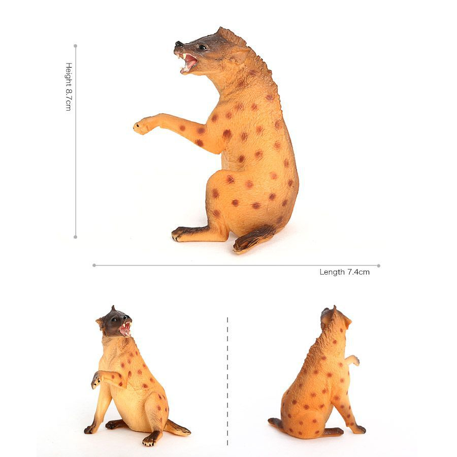 Hígena de vida silvestre de pl - Science Toys Diy reseña y precio