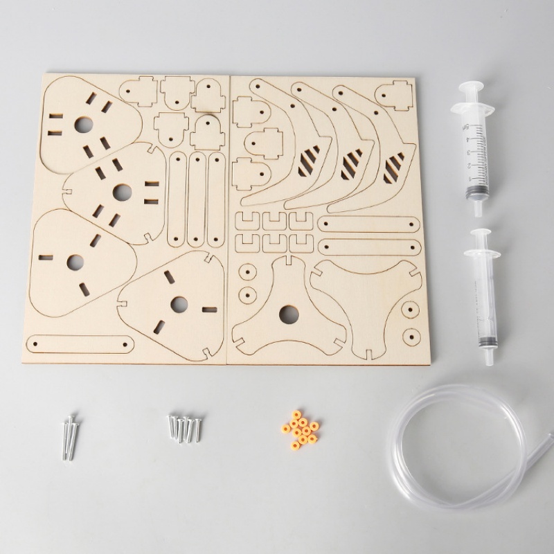 Kit de juguete de experimentos - Science Project Kit reseña y precio